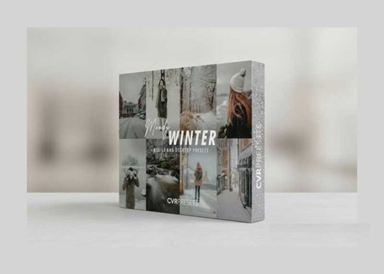 CVRPresets - Moody Winter Lightroom Presets 1 CVRPresets Moody Winter Lightroom Presets
