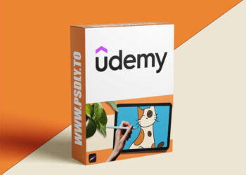 Complete Procreate Basics: Easy Digital Art For Everyone