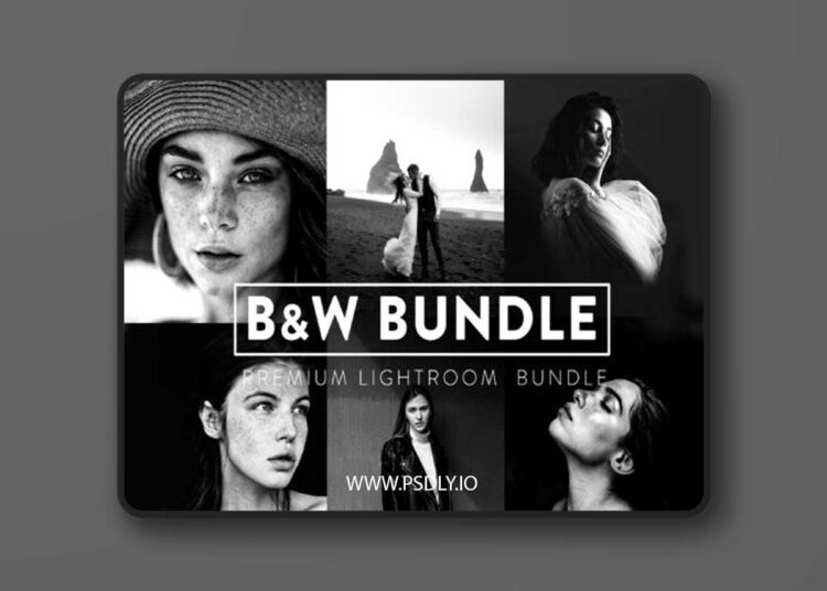 FilterGrade - 60 BLACK and WHITE BUNDLE Lightroom Presets 1 FilterGrade 60 BLACK and WHITE BUNDLE Lightroom Presets