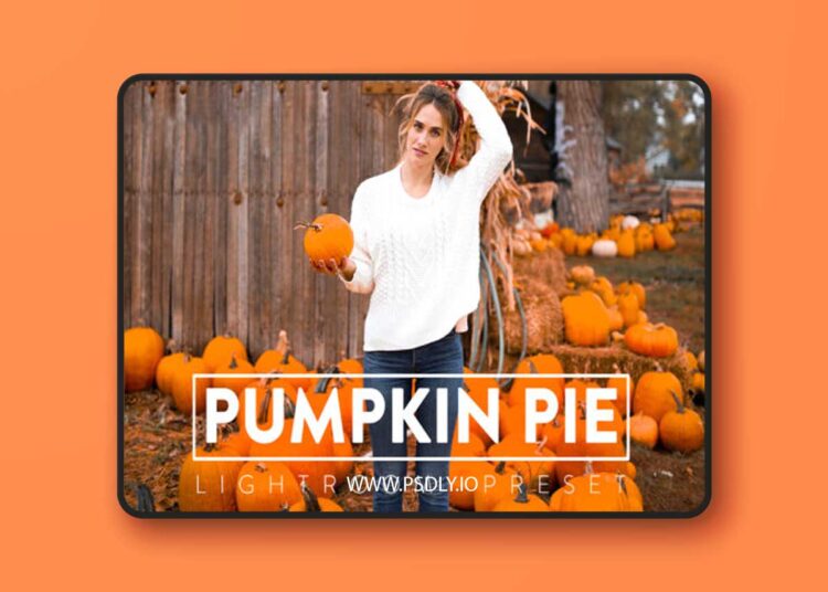 FilterGrade - PUMPKIN PIE Lightroom Mobile and Desktop Presets 1 FilterGrade PUMPKIN PIE Lightroom Mobile and Desktop Presets