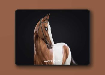 Horse Herd 5.0 (4.27 and 5.0 – 5.6)