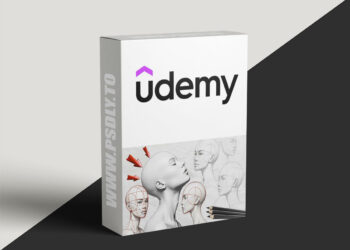 Loomis Method: Complete Face Drawing Course- Step by Step