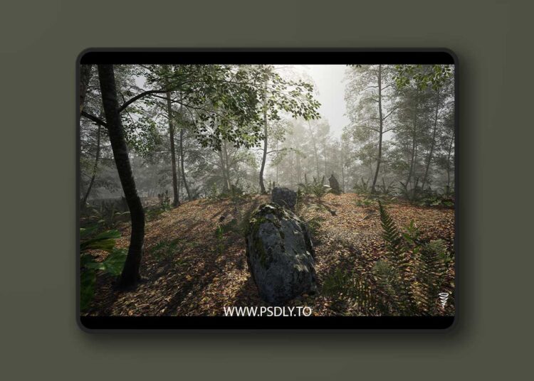 MAE Beech Forest (4.26 – 4.27 and 5.0 – 5.7) for Unreal Engine 1 MAE Beech Forest (4.26 – 4.27 and 5.0 – 5.7)