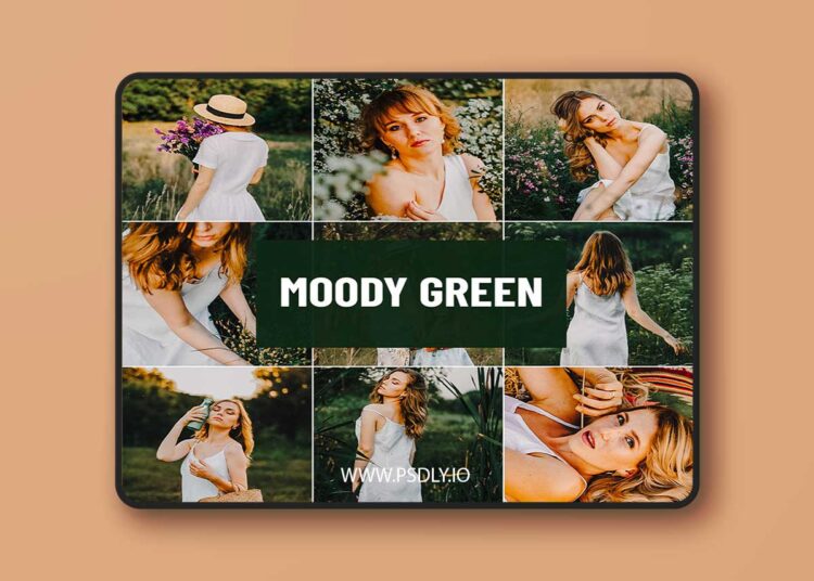 Psd Stack - Moody Green Lightroom Preset 1 Psd Stack Moody Green Lightroom Preset