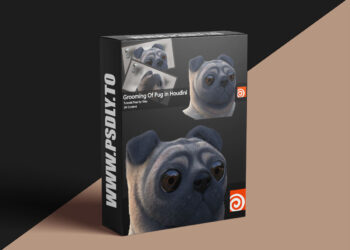 Artstation - Grooming Of Pug In Houdini