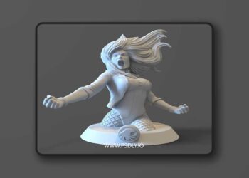 CG Pyro Digital Artist – Black Canary from DC Comics Bust – 3D Print Model STL