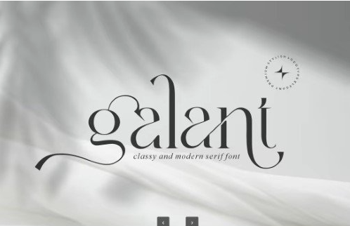 Creativemarket - Galant || Modern Minimalist Serif Font 1 Creativemarket Galant Modern Minimalist Serif Font