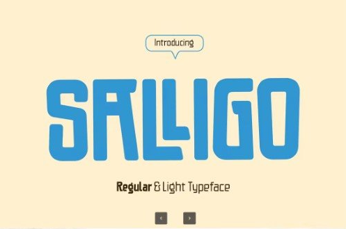 Creativemarket - Salligo Elegant Sans Serif 1 Creativemarket Salligo Elegant Sans Serif