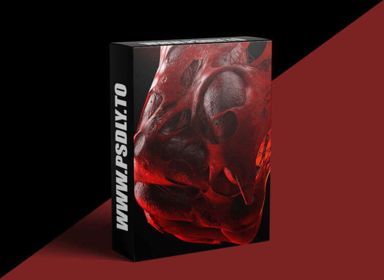 DoubleJump Academy - Recreating the Flesh Portal in Houdini 1 DoubleJump Academy - Recreating the Flesh Portal in Houdini