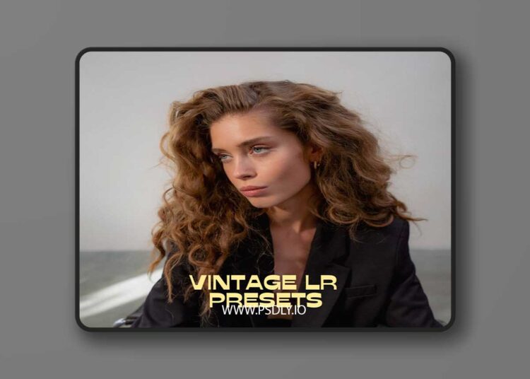 Eva Glasbeek - Vintage LR Presets 1 Eva Glasbeek Vintage LR Presets