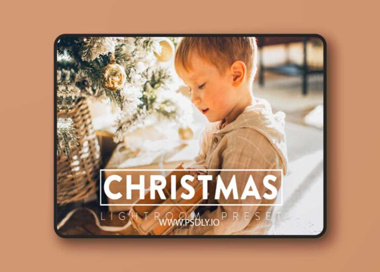 Filtergrade - CHRISTMAS Lightroom Preset 1 Filtergrade CHRISTMAS Lightroom Preset