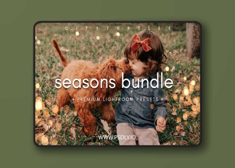 Filtergrade - THE SEASONS BUNDLE - Premium Photography Lightroom Presets 1 Filtergrade THE SEASONS BUNDLE Premium Photography Lightroom Presets