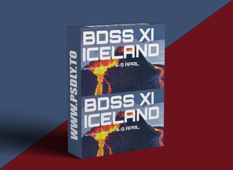 Kevin King – Billion Dollar Seller Summit XI Iceland 1 Kevin King – Billion Dollar Seller Summit XI Iceland