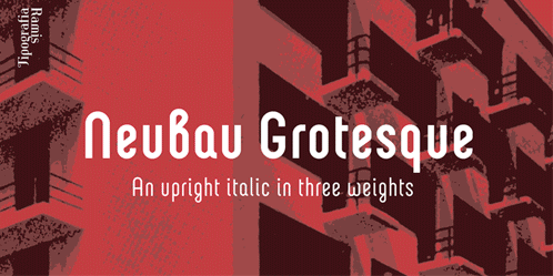 Neubau Grotesque Font Family 3xOTF 1 Neubau Grotesque Font Family