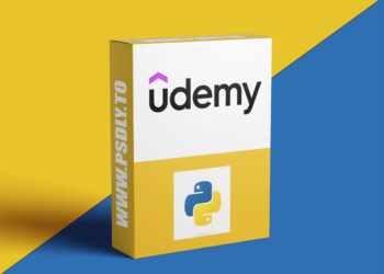 Replit Python Programming+Python Bootcamp Beginner Tutorial