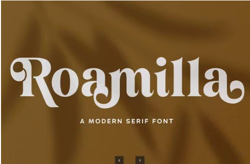 Roamilla - Modern Serif Font 1 Roamilla Modern Serif Font