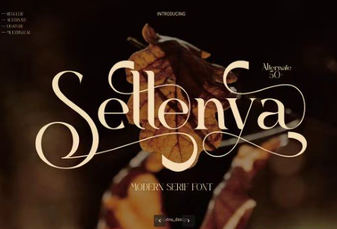 Sellenya - Modern Serif Font 1 Sellenya Modern Serif Font