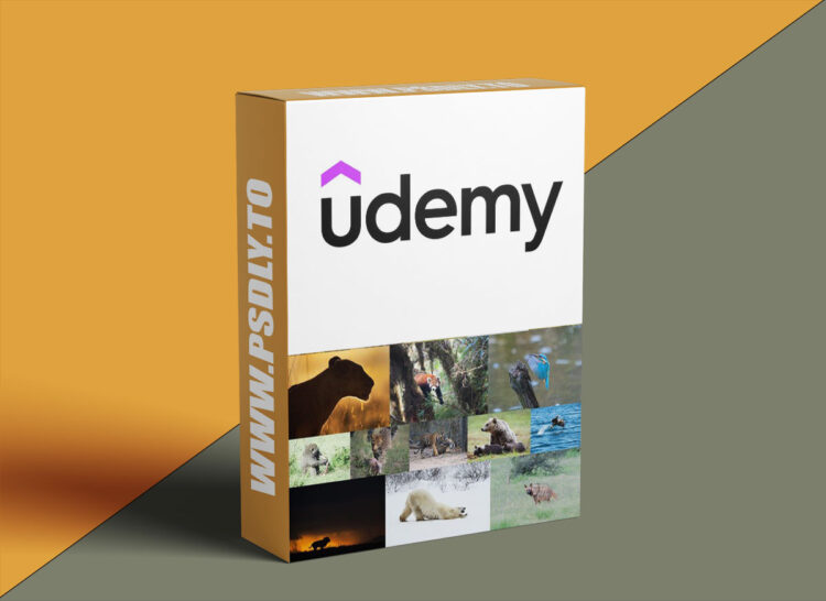 Udemy – The Ultimate Beginners Guide to Wildlife Photography 1 The Ultimate Beginners Guide to Wildlife Photography