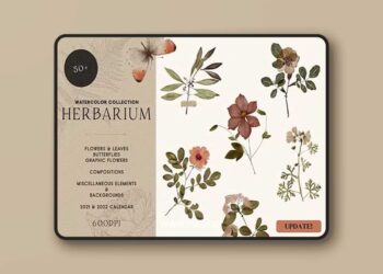 Watercolor Herbarium Pressed Dry Flowers vol.1