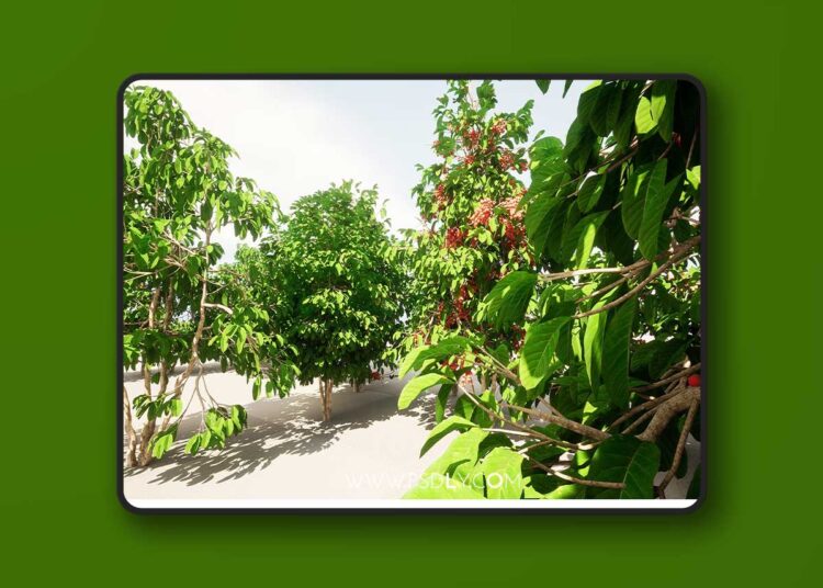 plant Fruits and vegetables (4.26 – 4.27 and 5.0 – 5.3) 1 plant Fruits and vegetables (4.26 – 4.27 and 5.0 – 5.3)