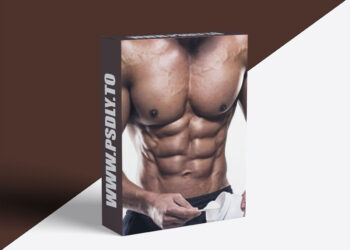 12 Week Muscle Building & Fat Loss Transformation Program
