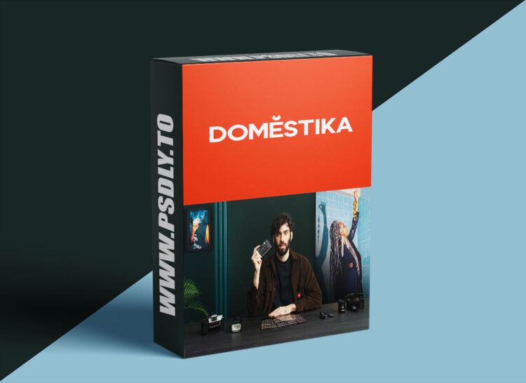 Domestika – 3D Stereoscopic Photography 1 3D Stereoscopic Photography