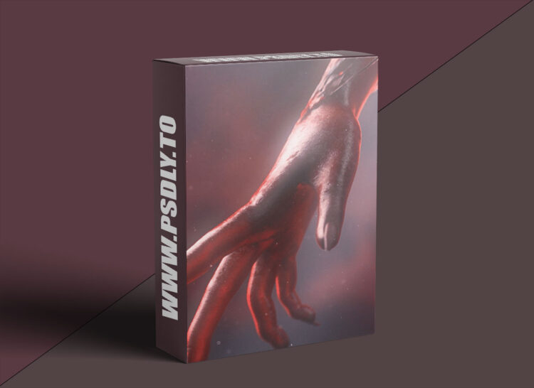 DoubleJump Academy – Recreating the Flesh Portal in Houdini by Patricia Pérez Collado 1 DoubleJump Academy – Recreating the Flesh Portal in Houdini by Patricia Pérez Collado