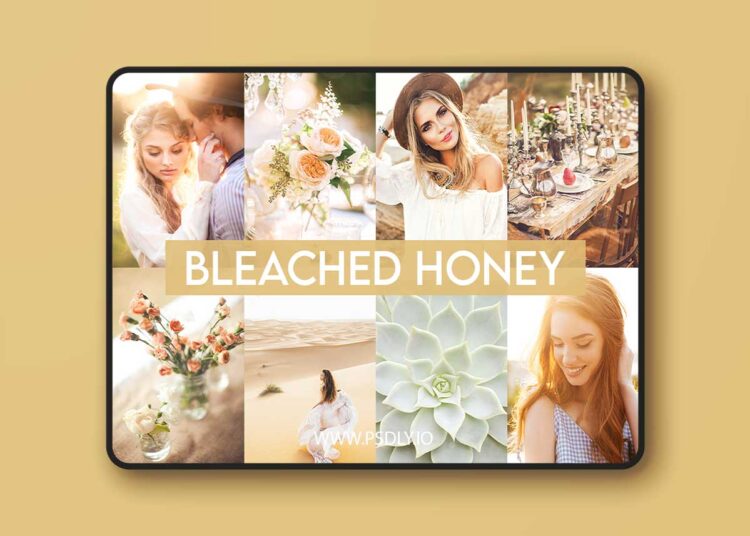 Greater Than Gatsby - Bleached Honey Preset Collection 1 Greater Than Gatsby Bleached Honey Preset Collection