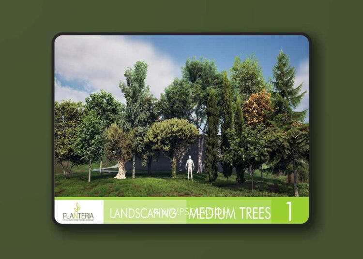 Landscaping Medium Trees Vol. 1 (5.3+) 1 Landscaping Medium Trees Vol. 1 (5.3+)