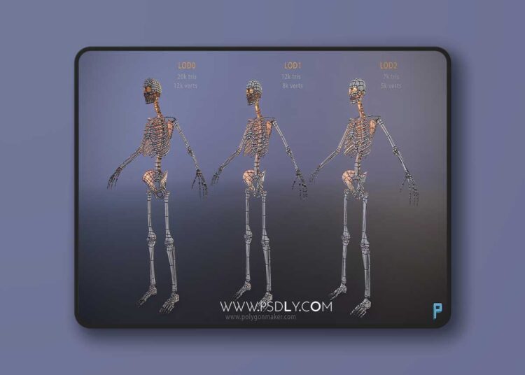 Monsters - Skeleton (4.26+) for Unreal Engine 1 Monsters - Skeleton (4.26+)