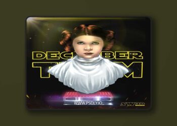 SW3D – Leia Bust Portrait – 3D Print Model STL