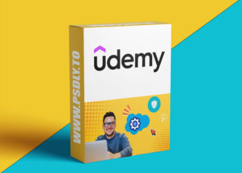 Salesforce Development Lifecycle and Deployment Architect