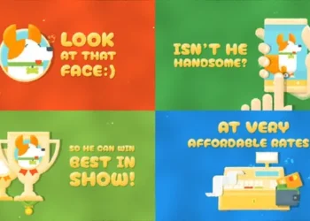 Videohive Dog Grooming Salon Promo 61539273