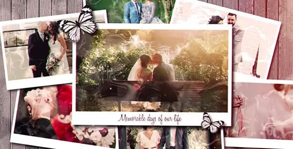 Videohive: Wedding Day 21137731 1 Videohive Wedding Day 21137731