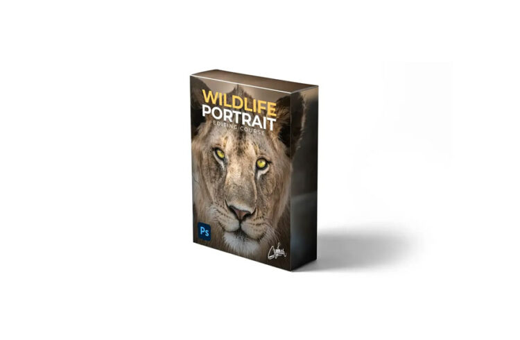 Zenzcourses - Wildlife Portrait Editing 1 Zenzcourses - Wildlife Portrait Editing