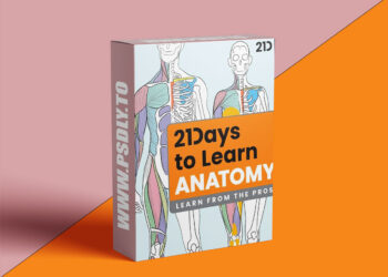 21 Draw - LEARN ANATOMY IN 21 DAYS - Video Course with Rodgon