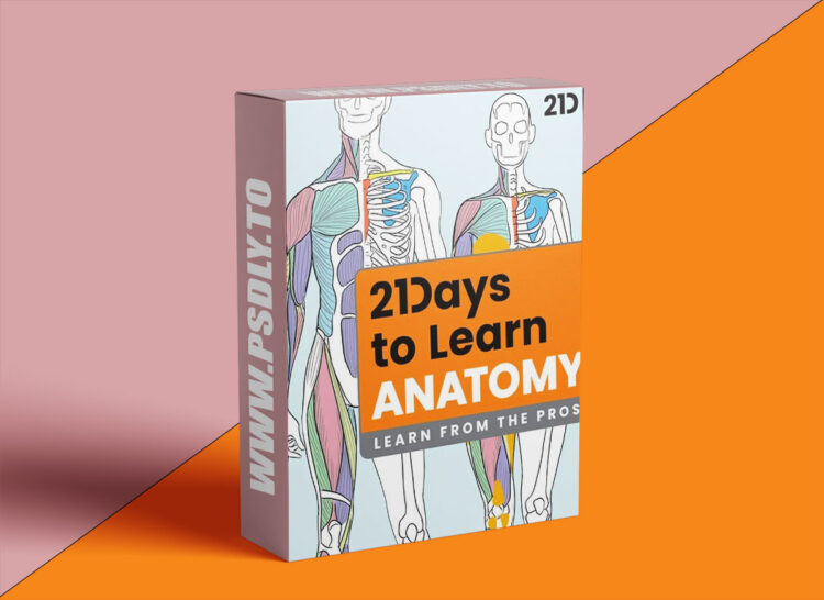 21 Draw - LEARN ANATOMY IN 21 DAYS - Video Course with Rodgon 1 21 Draw - LEARN ANATOMY IN 21 DAYS - Video Course with Rodgon