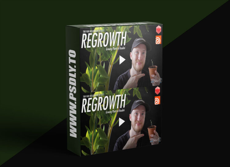 CGCircuit - Regrowth - Growing Plants in Houdini 1 CGCircuit - Regrowth - Growing Plants in Houdini