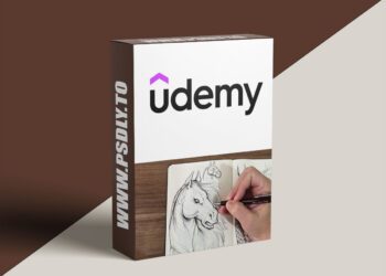 Drawing for Beginners – Level 1