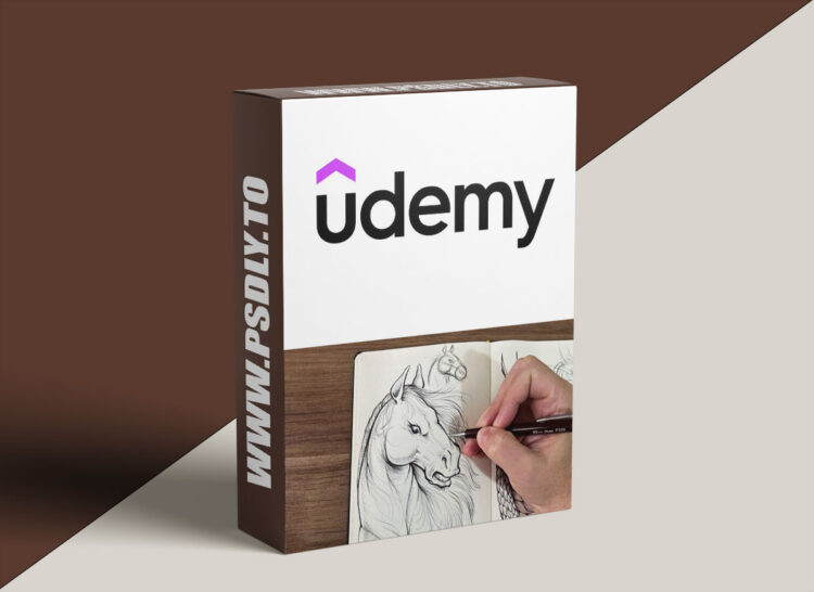 Udemy – Drawing for Beginners – Level 1 1 Drawing for Beginners – Level 1