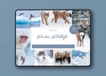 Filtergrade Winter Wildlife Presets