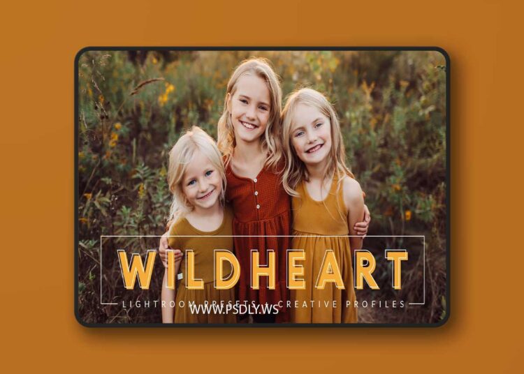 Pretty Presets - WILDHEART Evolution Preset Collection 1 Pretty Presets WILDHEART Evolution Preset Collection