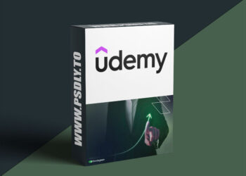 Pricing Mastery: The Profit Acceleration Pricing Framework