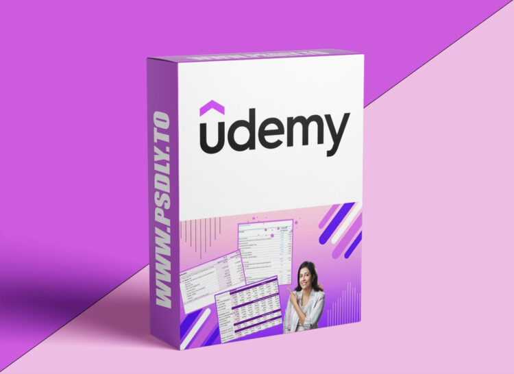 Udemy – Reporting Aesthetically in Excel 1 Reporting Aesthetically in Excel