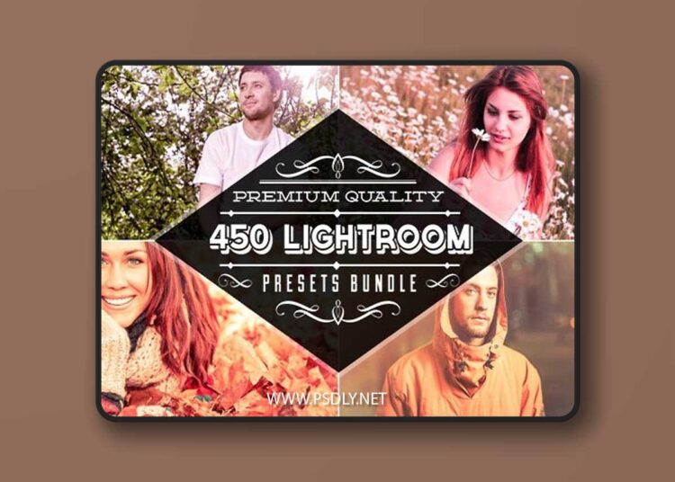 450+ Beautiful One-Click Lightroom Presets 1 450 Beautiful One Click Lightroom Presets