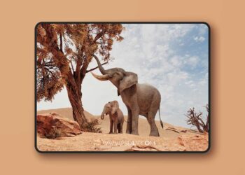 African Elephants (5.2 – 5.7)