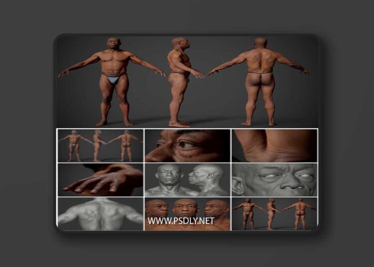 Animation Ready Body Scan Male 01 1 Animation Ready Body Scan Male 01
