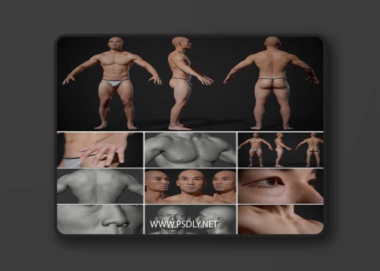 Animation Ready Body Scan Male 02 3D Model 1 Animation Ready Body Scan Male 02 3D Model