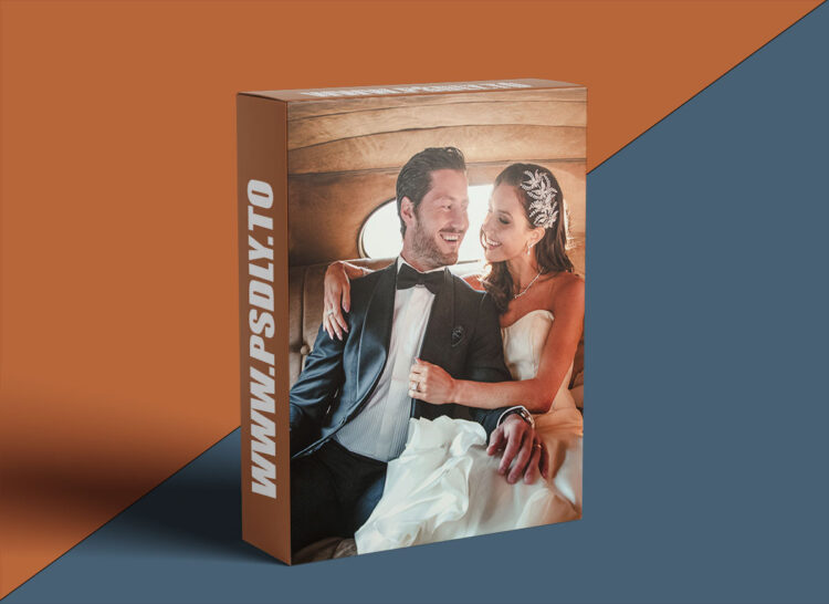 DVLOP - The Show Series by Susan Stripling Lightroom Presets and Profile 1 DVLOP - The Show Series by Susan Stripling Lightroom Presets and Profile