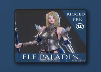 Elf Paladin 3D Model